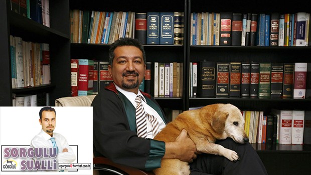 Camýn arkasýnda ?can? satýlmamalý